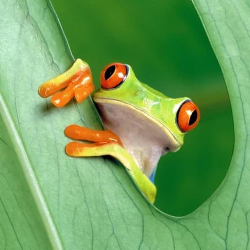 Karthik Halukurike