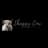 Shaggy Cow Bookkeeping