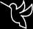 Hummingbirds