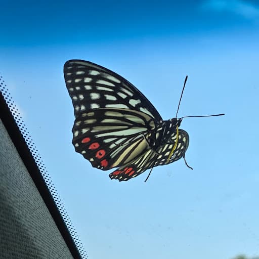 추장클래스 (추장)