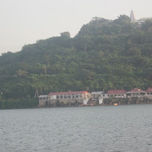 kannikanti dhavani