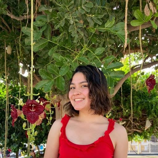 Hilary Silvana Llanos Becerra